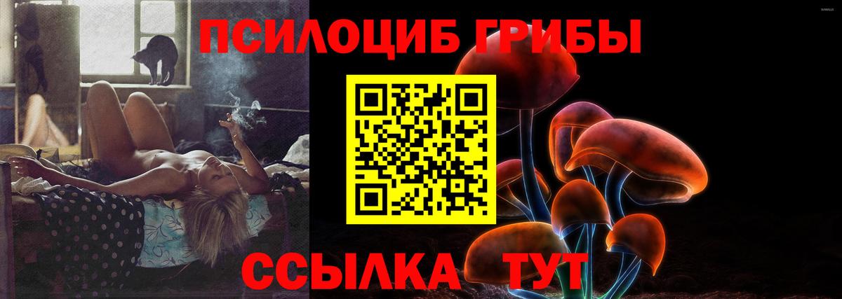 Пенза  Псилоцибиновые грибы MAGIC MUSHROOMS  Вход с VPN 